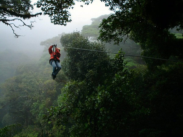 canopy
